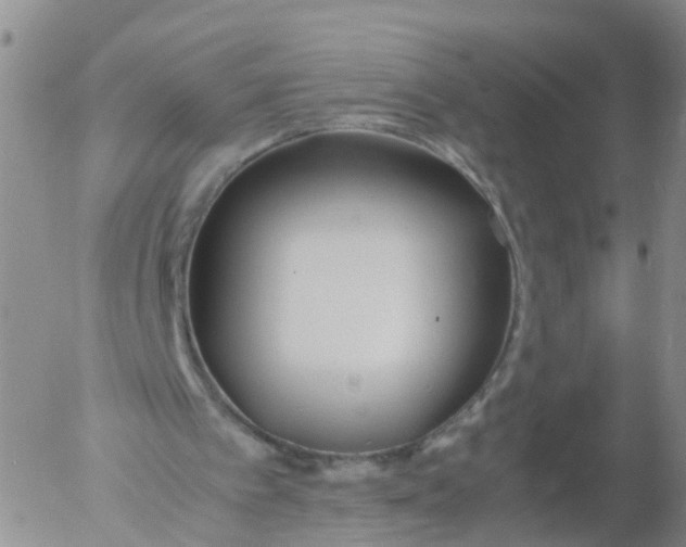 X0000053070097200508011950