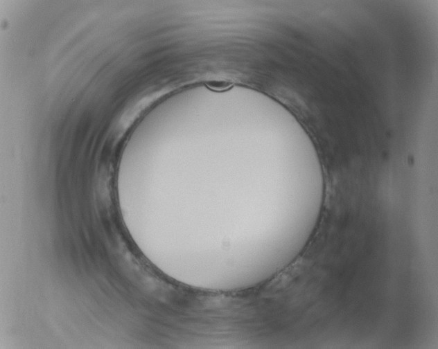 X0000053070098200508011950