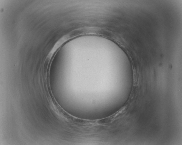 X0000053070099200508011950