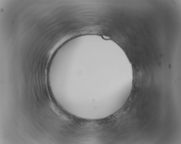 X0000053070100200508011950