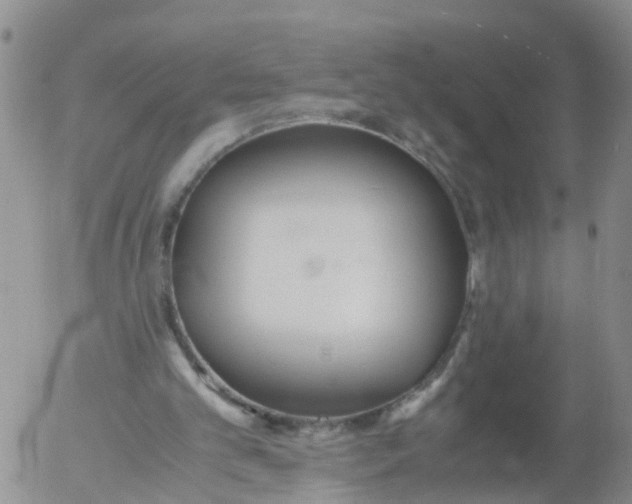 X0000053070101200508011950