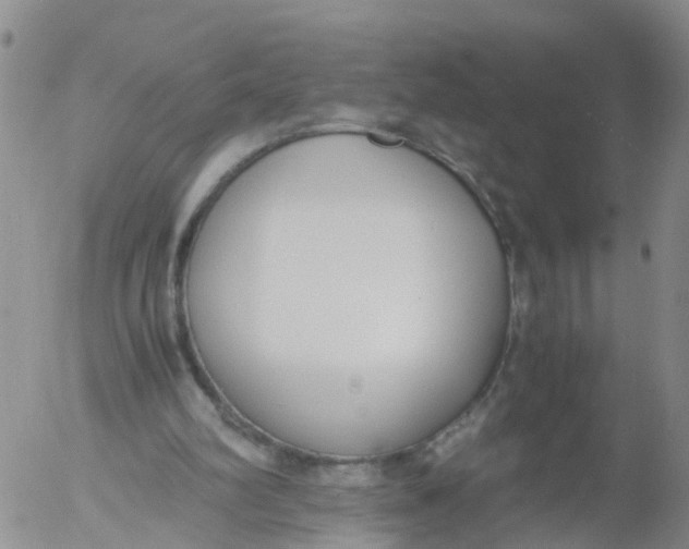 X0000053070102200508011950