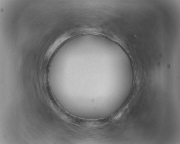 X0000053070103200508011950