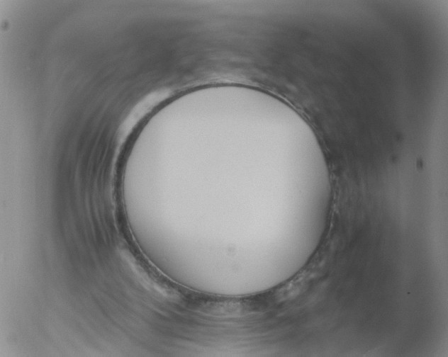 X0000053070104200508011950