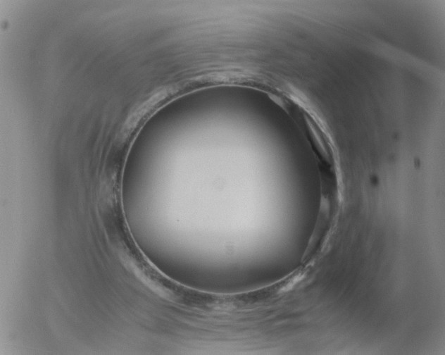 X0000053070105200508011950