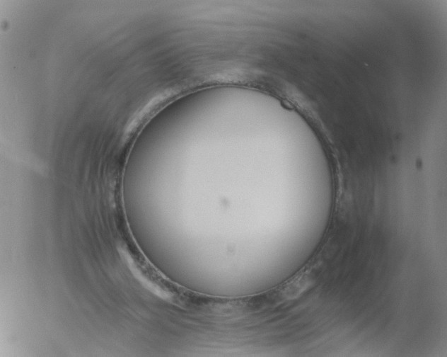 X0000053070106200508011950