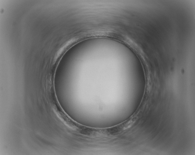 X0000053070107200508011950