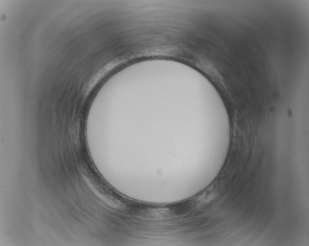 X0000053070108200508011950