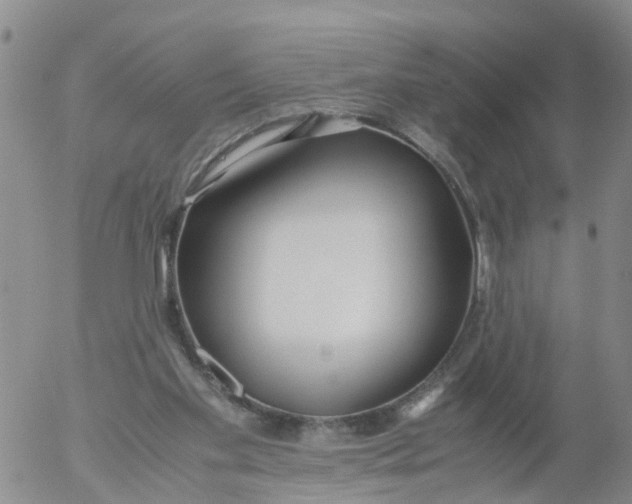 X0000053070109200508011950