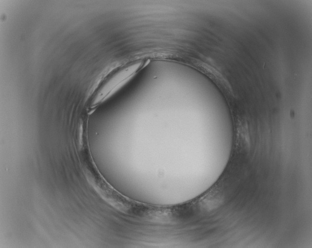 X0000053070110200508011950