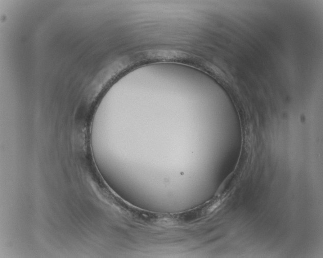 X0000053070111200508011950