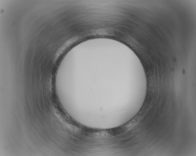 X0000053070112200508011950