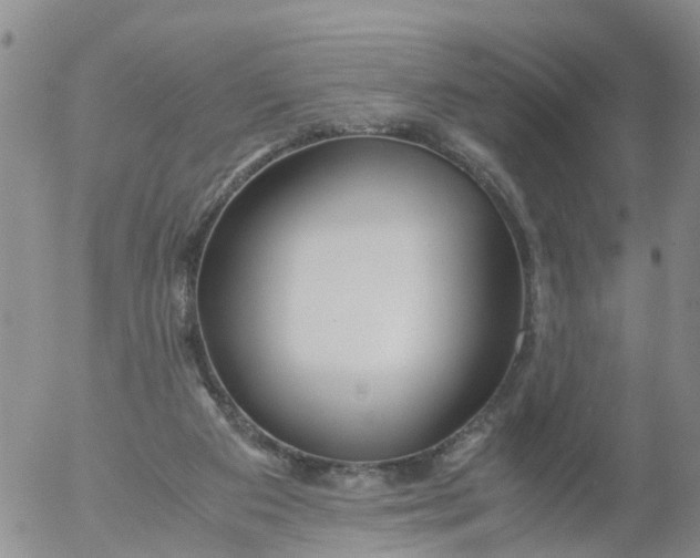 X0000053070113200508011950