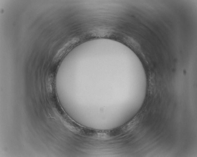 X0000053070114200508011950