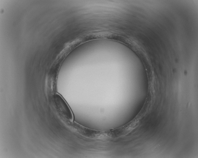 X0000053070115200508011950