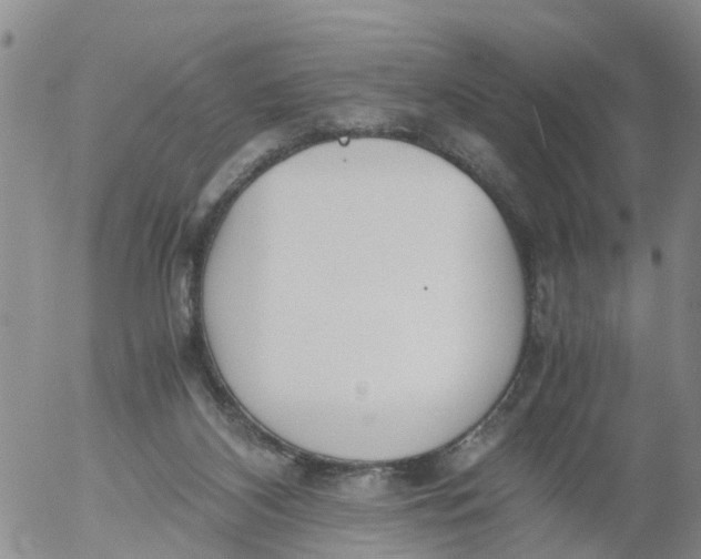 X0000053070116200508011950