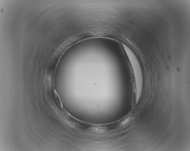 X0000053070117200508011950