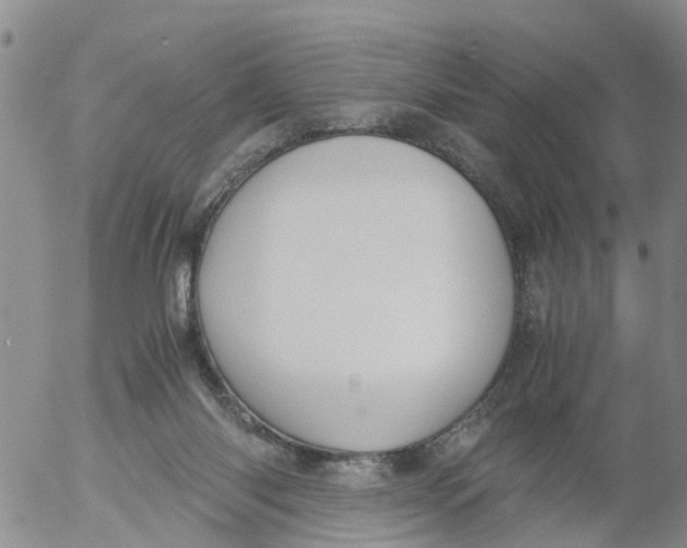 X0000053070118200508011950