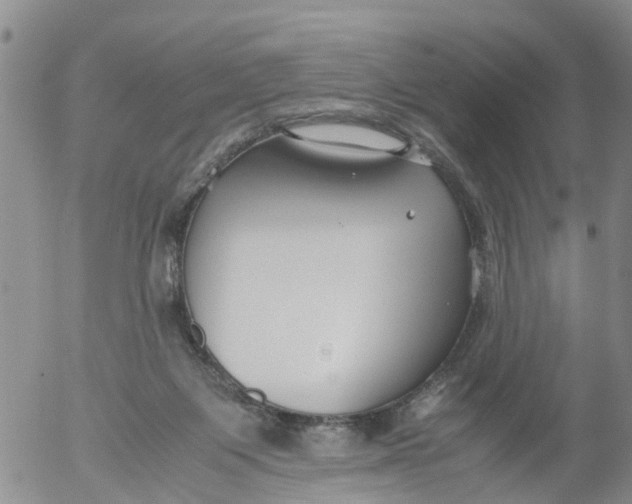 X0000053070119200508011950