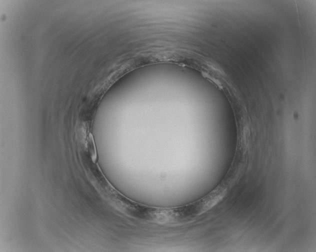 X0000053070121200508011950