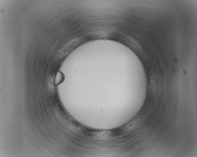 X0000053070122200508011950