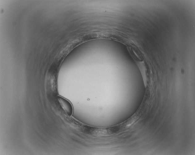 X0000053070123200508011950