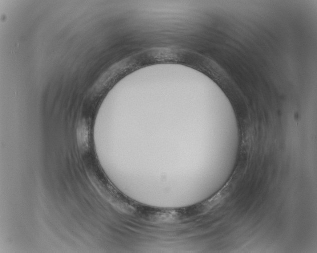 X0000053070124200508011950