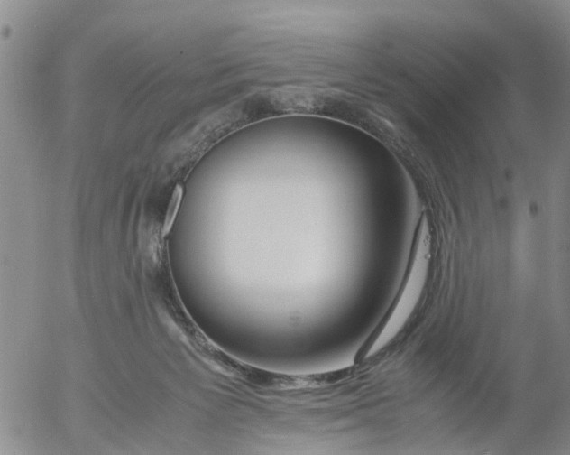 X0000053070125200508011950