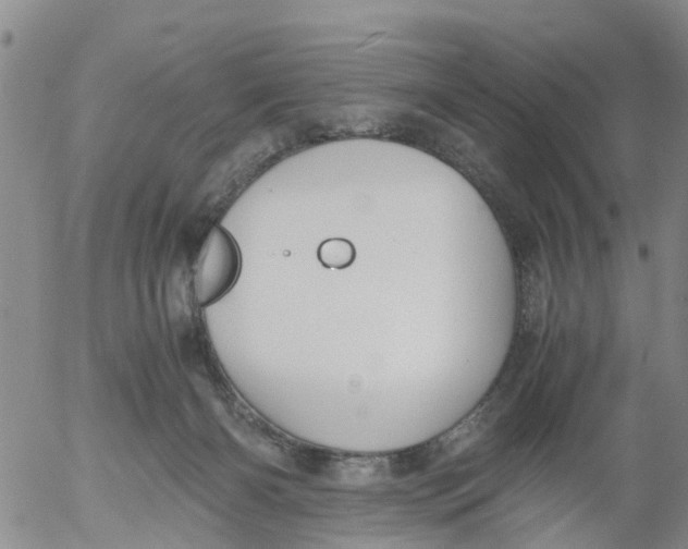 X0000053070126200508011950