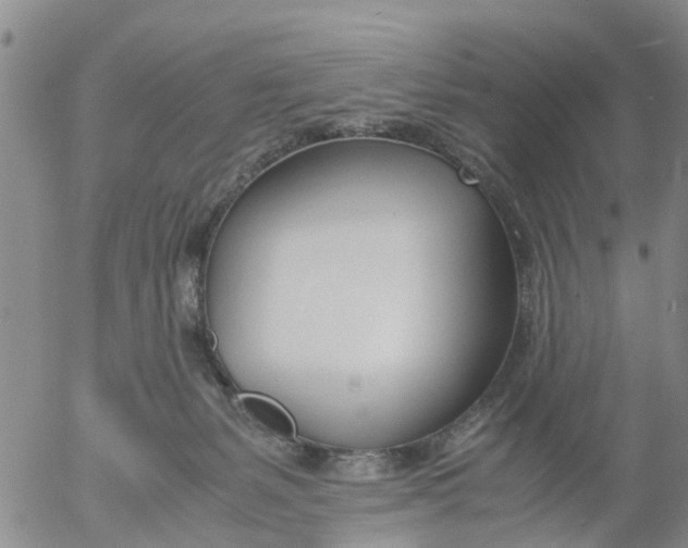 X0000053070127200508011950