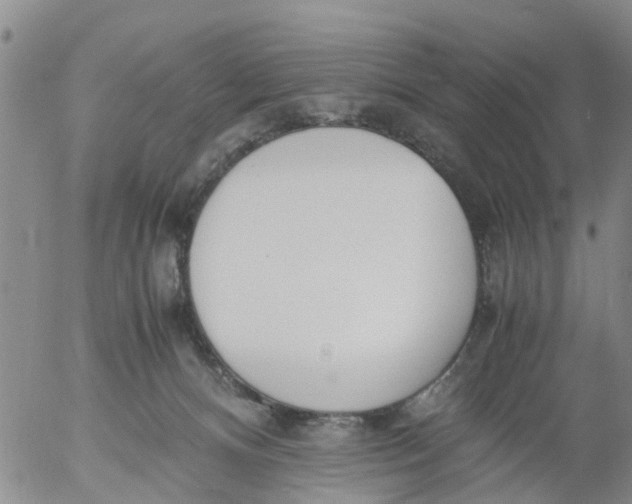 X0000053070128200508011950