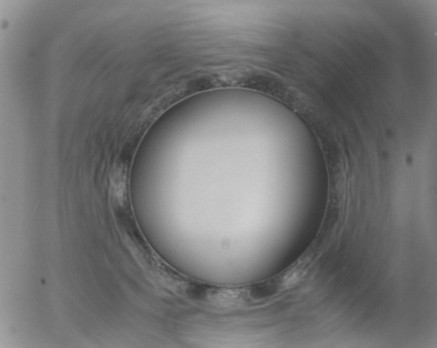 X0000053070129200508011950