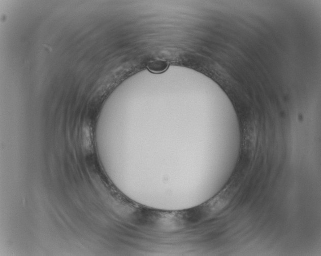 X0000053070130200508011950