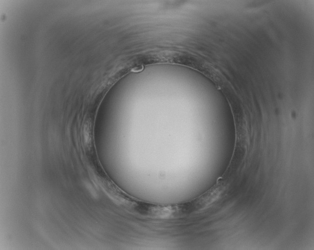 X0000053070131200508011950