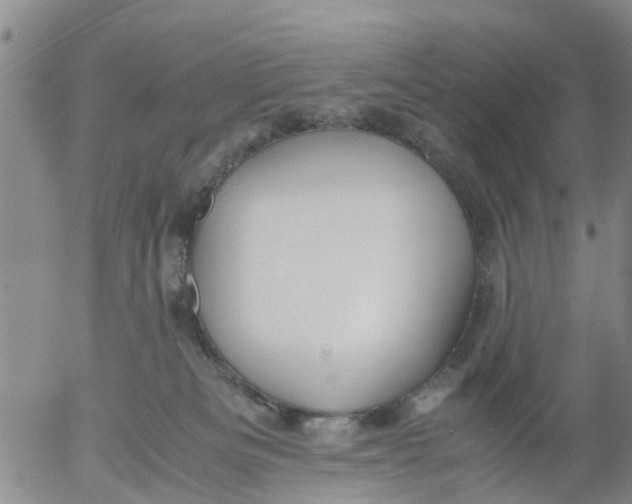 X0000053070133200508011950