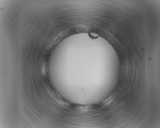 X0000053070134200508011950