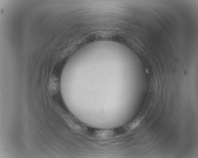 X0000053070135200508011950