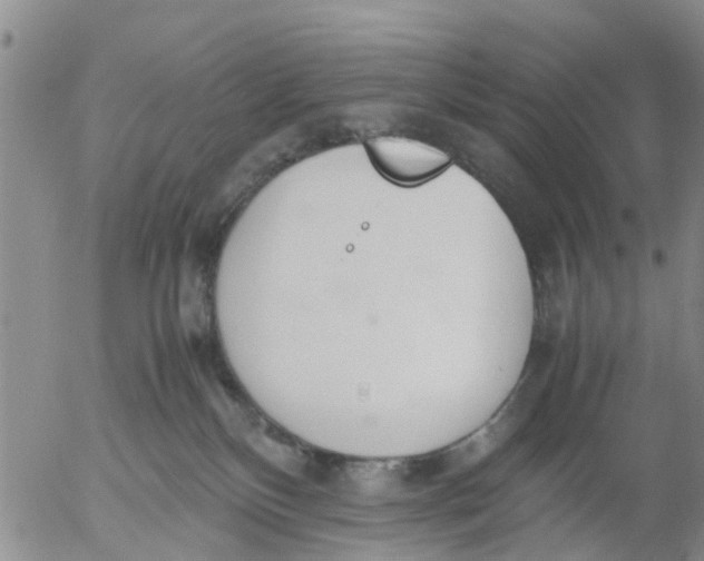 X0000053070136200508011950