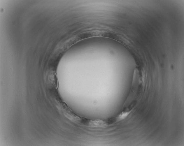 X0000053070137200508011950