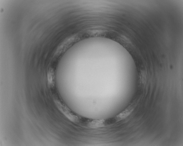 X0000053070138200508011950