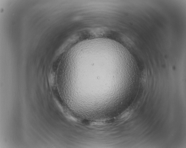 X0000053070139200508011950