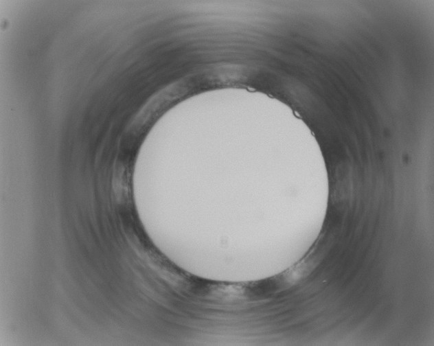 X0000053070140200508011950