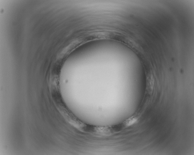 X0000053070141200508011950