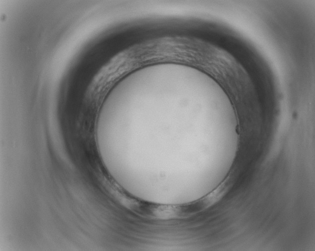 X0000053070142200508011950