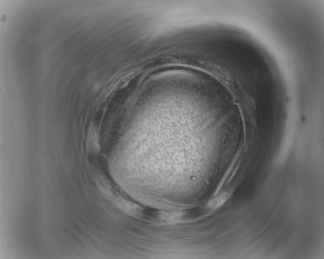 X0000053070143200508011950