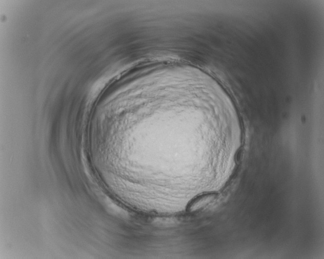 X0000053070145200508011949