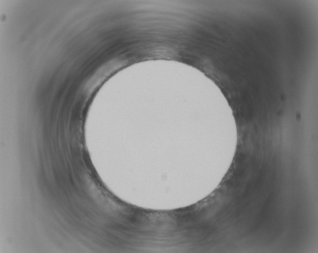 X0000053070146200508011949