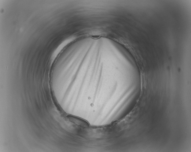 X0000053070147200508011949