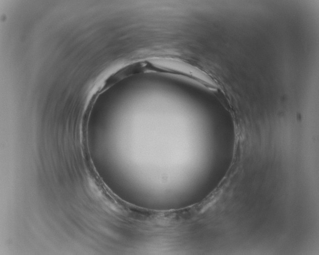 X0000053070148200508011949