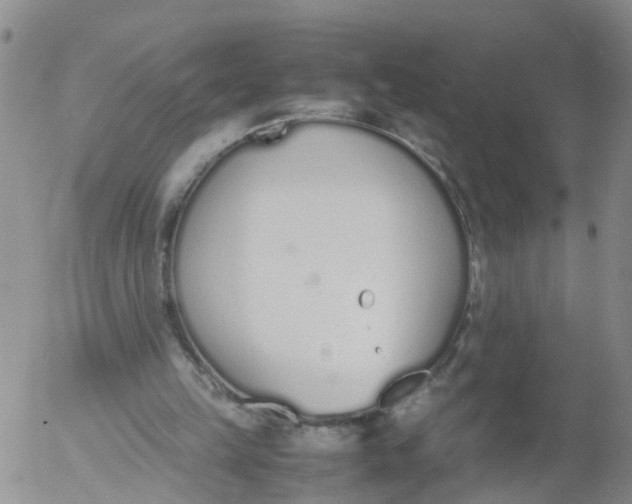 X0000053070149200508011949